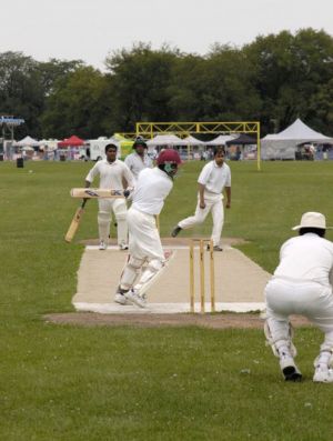 Cricket031.jpg