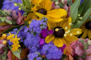 FarmersMkt022.jpg