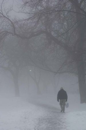 Fog016.jpg