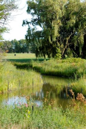 JacksonPark03.jpg