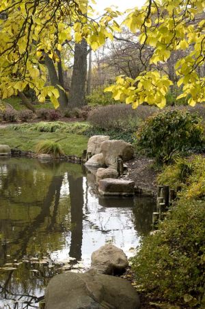 JapaneseGarden069.jpg