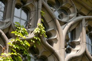 UofC_Campus060.jpg