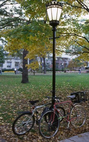 autumn006.jpg