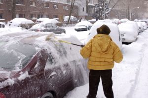 snow08lo.jpg