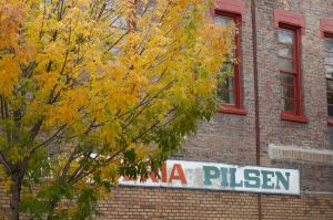 Pilsen119.jpg