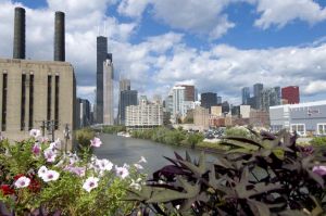 Skyline_South037.jpg