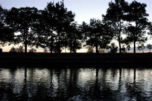 Boat007.jpg