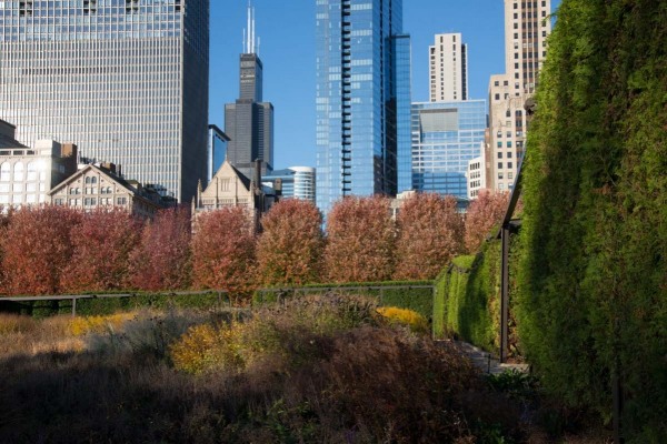 Lurie-Garden_103