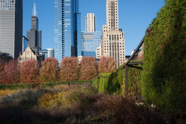 Lurie-Garden_105