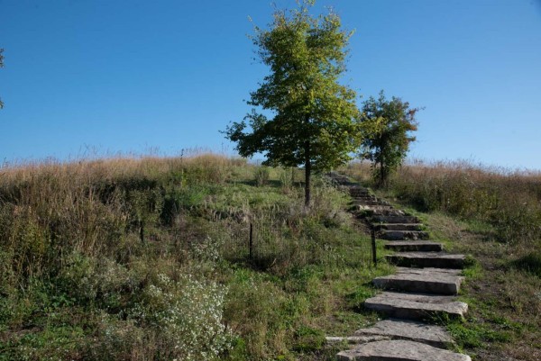 Palmisano-Park_024