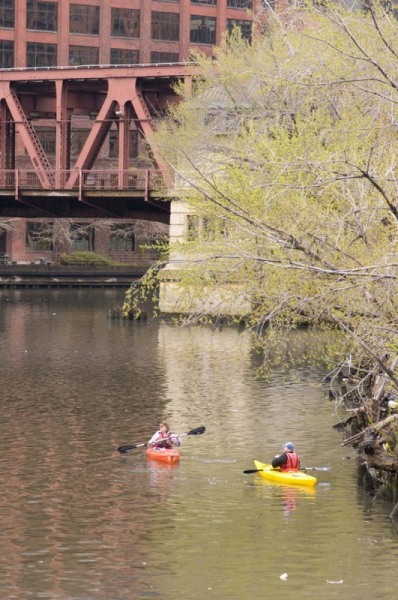 Kayaking on Chicago River