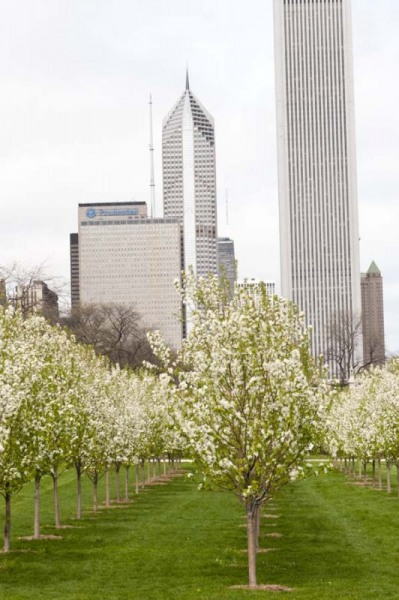 Grant_Park109