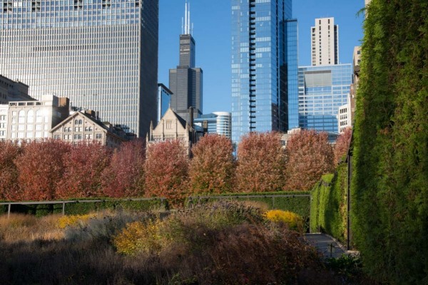 Lurie-Garden_102