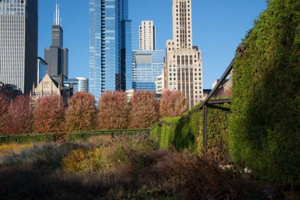 Lurie-Garden_104