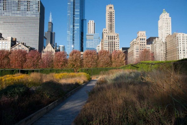 Lurie-Garden_106