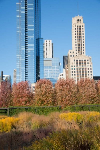 Lurie-Garden_110