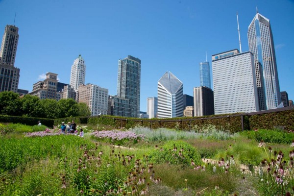 Lurie-Garden_125