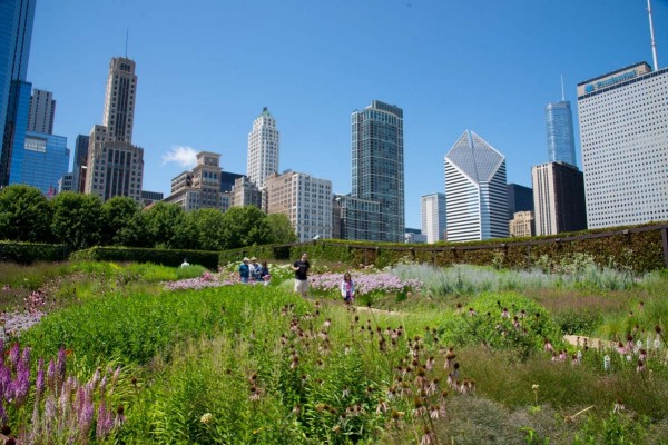 Lurie-Garden_126