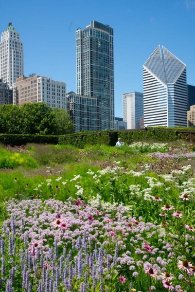 Lurie-Garden_130