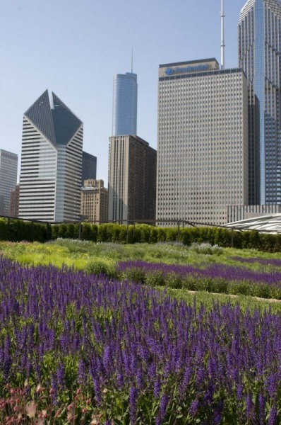 Lurie_Garden031