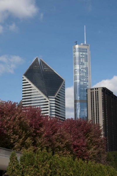 Chicago skyline and Lurie Garden in Millennium Park