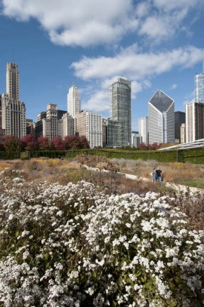 Chicago skyline and Lurie Garden in Millennium Park