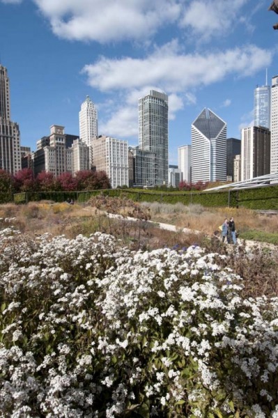 Chicago skyline and Lurie Garden in Millennium Park