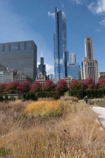 Chicago skyline and Lurie Garden in Millennium Park