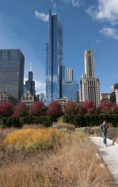 Chicago skyline and Lurie Garden in Millennium Park