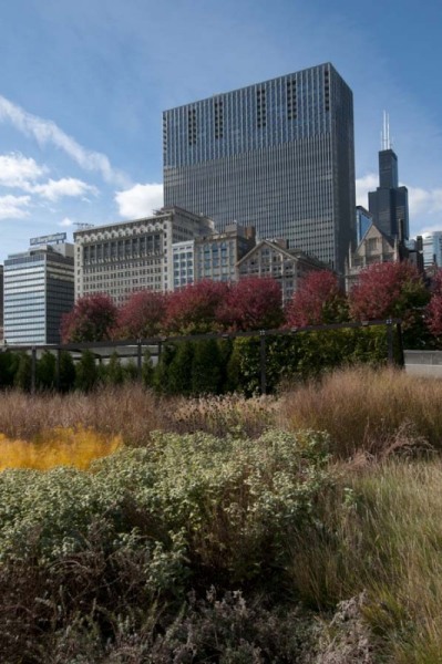 Chicago skyline and Lurie Garden in Millennium Park