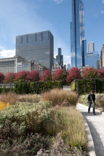 Chicago skyline and Lurie Garden in Millennium Park