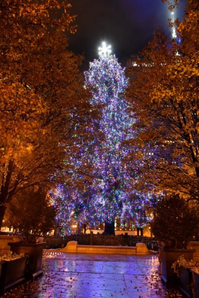 Xmas-Mill-Park_002