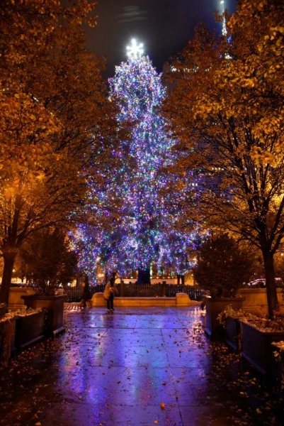 Xmas-Mill-Park_003