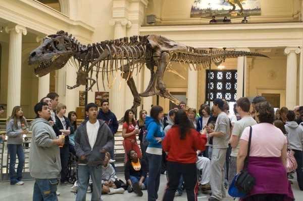 FieldMuseum061