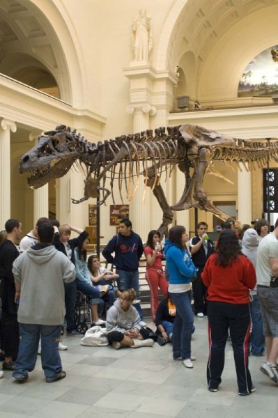 FieldMuseum063