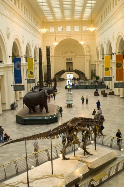 FieldMuseum088