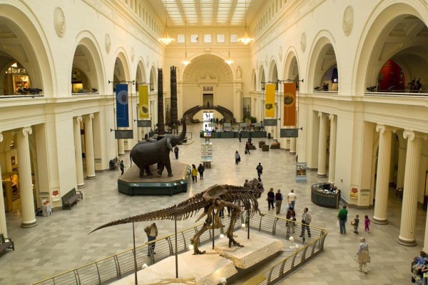 FieldMuseum092