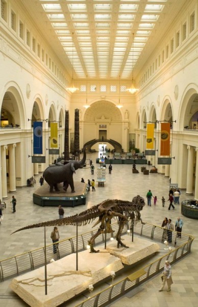 FieldMuseum094