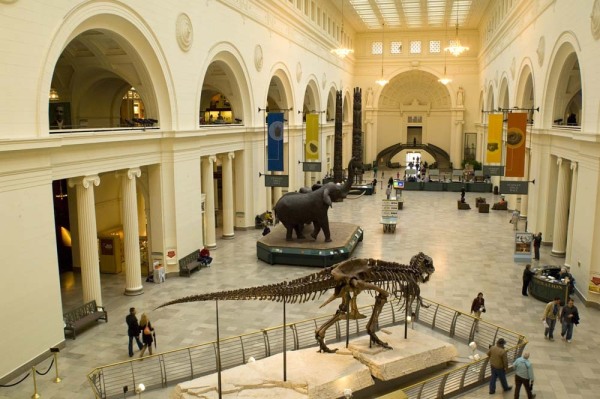 FieldMuseum099