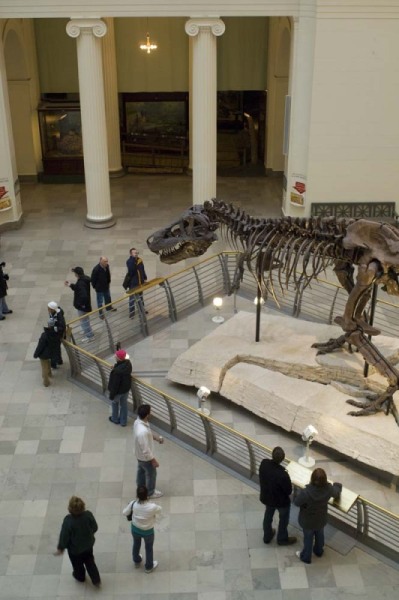 FieldMuseum117