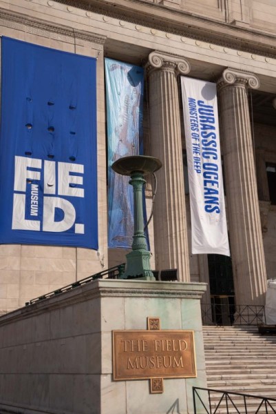 FieldMuseum159