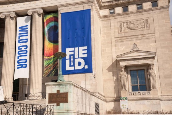 FieldMuseum169