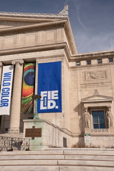 FieldMuseum170