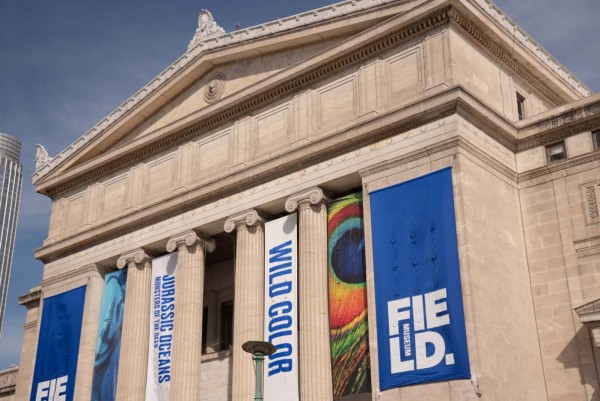 FieldMuseum174