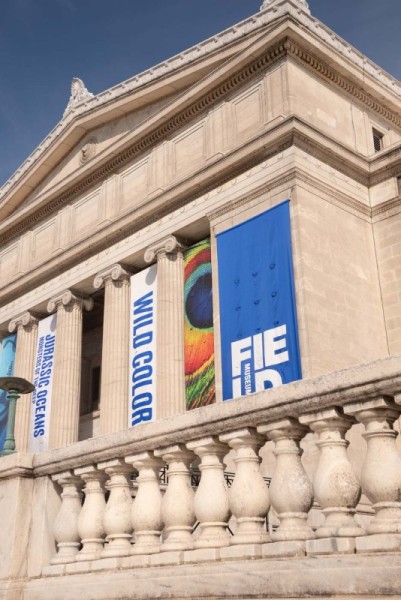 FieldMuseum177