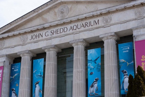 Shedd-Aquarium_008