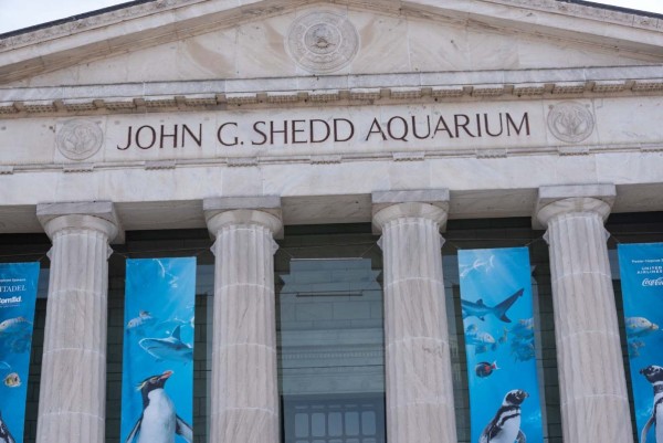 Shedd-Aquarium_010