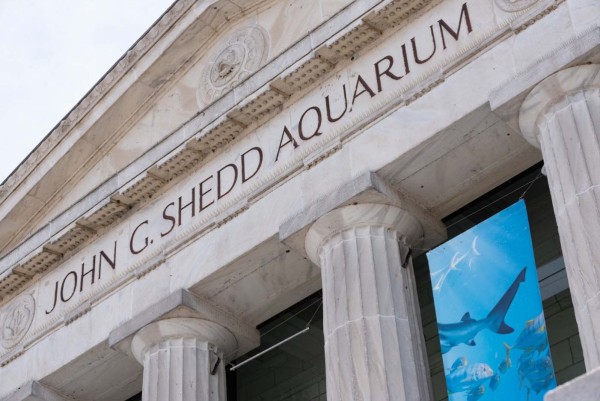 Shedd-Aquarium_015