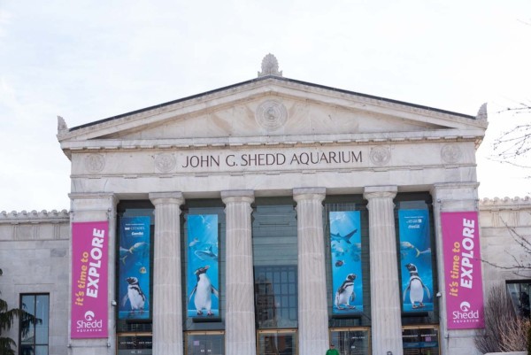 Shedd-Aquarium_018