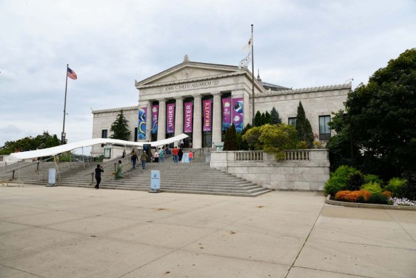 Shedd-Aquarium_022